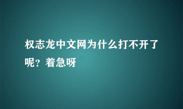 权志龙中文网为什么打不开了呢？着急呀