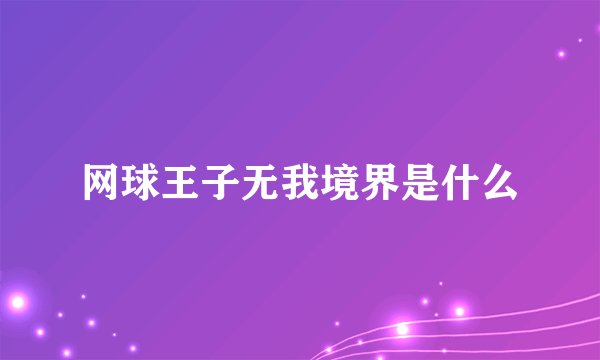 网球王子无我境界是什么