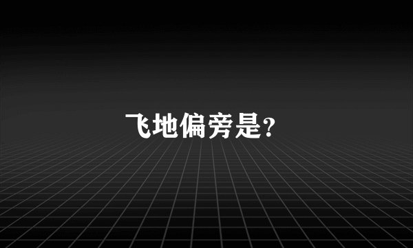 飞地偏旁是？