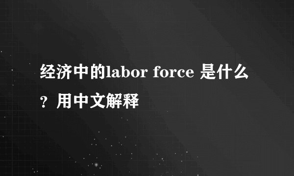 经济中的labor force 是什么？用中文解释
