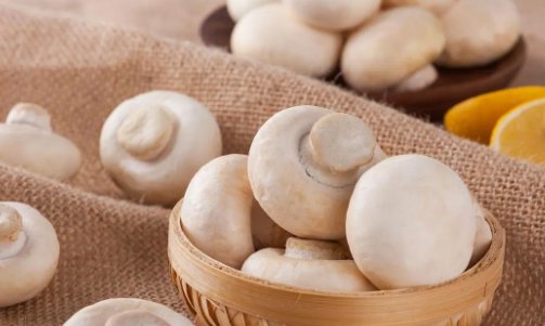 口蘑中的口字起源于哪里