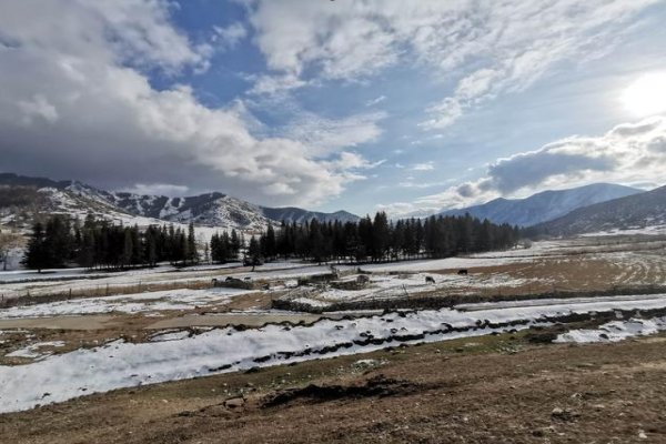 燃冬高能片段在哪