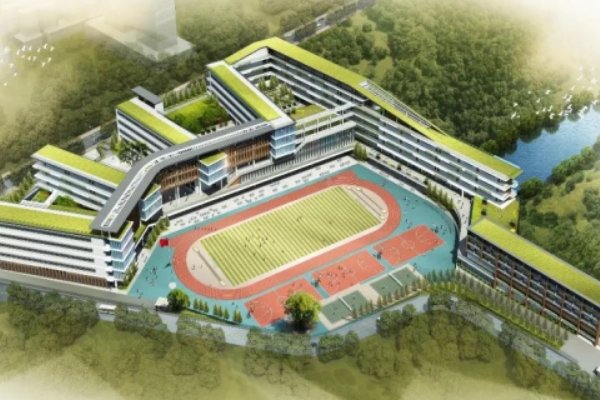 合肥市2021年小学学业评价成绩出来了吗？
