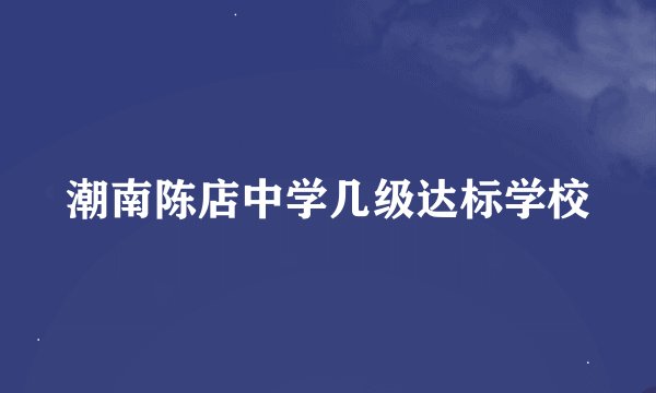 潮南陈店中学几级达标学校