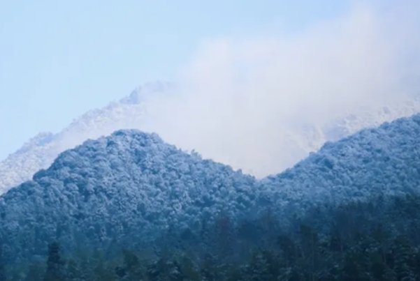 细毛织寒衣寻七什么意思