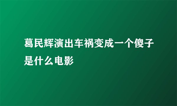 葛民辉演出车祸变成一个傻子是什么电影