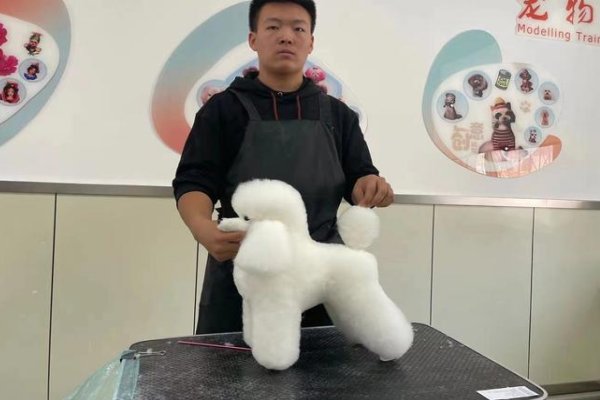 新兴职业