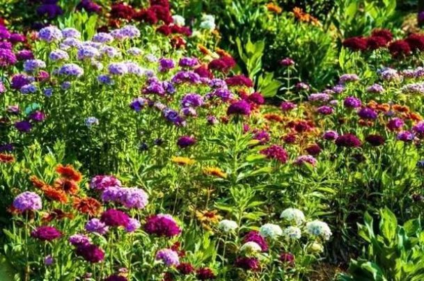 争妍斗艳的拼音及解释