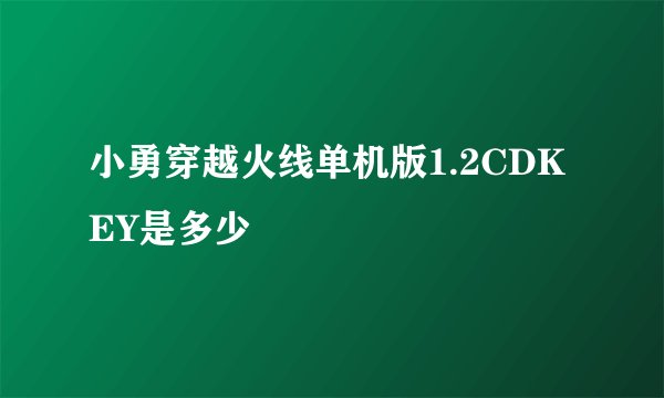 小勇穿越火线单机版1.2CDKEY是多少