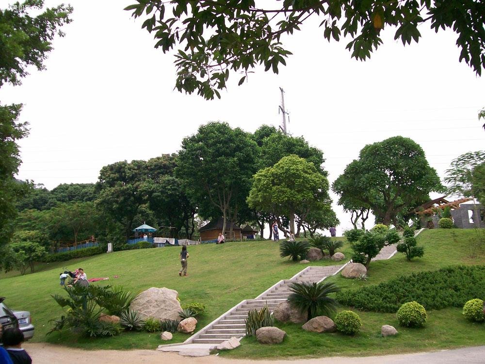 导游强迫多少名游客交易？