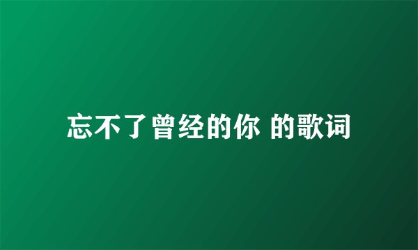 忘不了曾经的你 的歌词