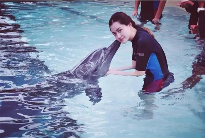 如何看待470头巨头鲸搁浅海港这件事呢？