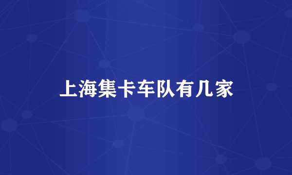 上海集卡车队有几家