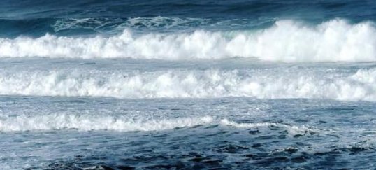 前浪拍死在沙滩上的上一句话是什么？