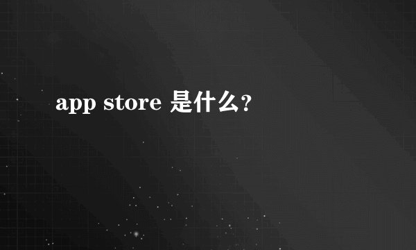 app store 是什么？