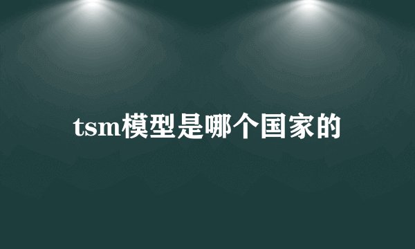 tsm模型是哪个国家的