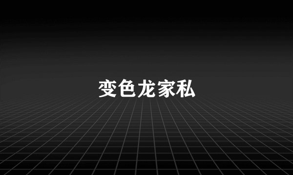 变色龙家私