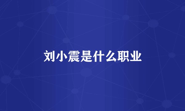 刘小震是什么职业