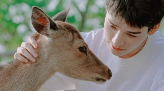 龚俊的贴身保镖把一位路人错看成了龚俊,这一场面有多尴尬?