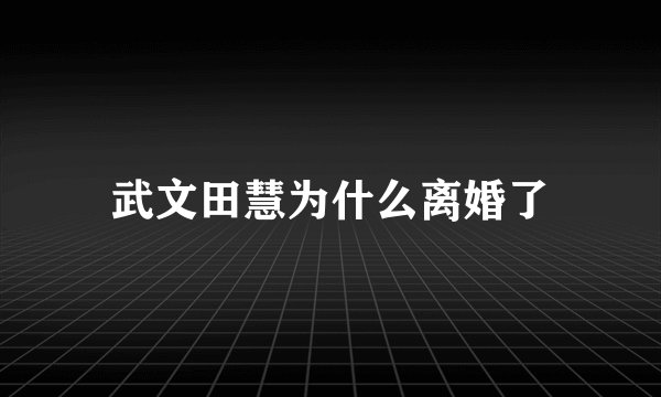 武文田慧为什么离婚了