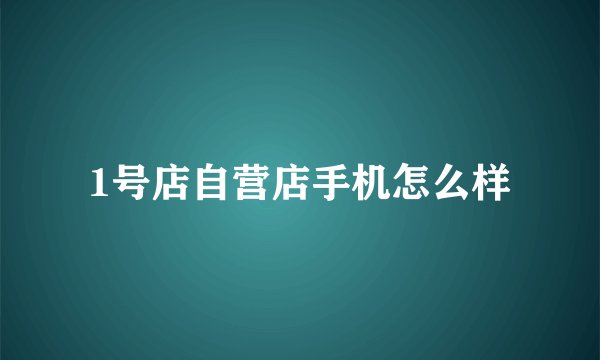 1号店自营店手机怎么样