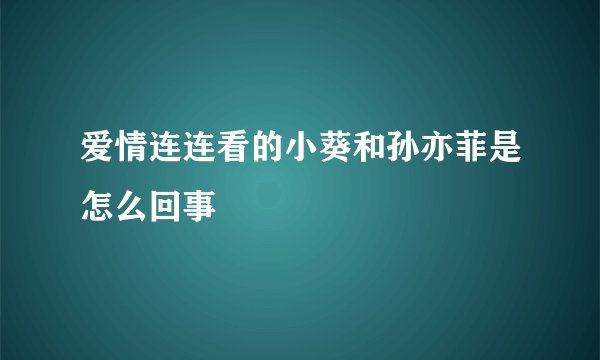 爱情连连看的小葵和孙亦菲是怎么回事