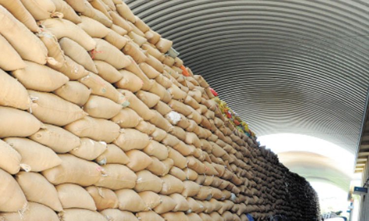 吉林一粮库玉米存在虫眼问题，相关负责人会被如何处置？