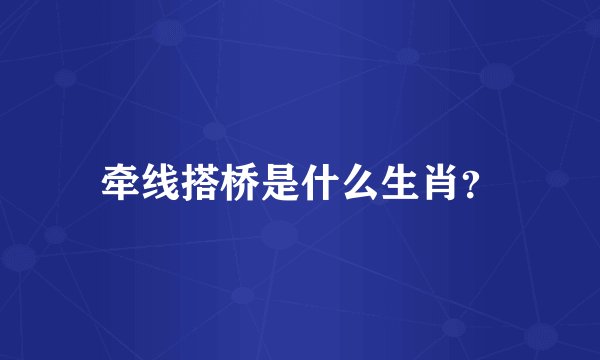 牵线搭桥是什么生肖？
