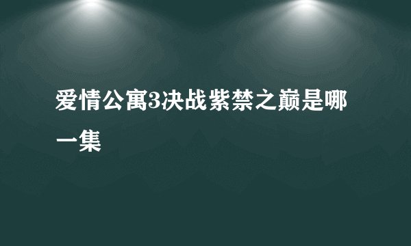 爱情公寓3决战紫禁之巅是哪一集