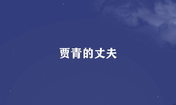 贾青的丈夫