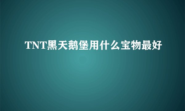 TNT黑天鹅堡用什么宝物最好