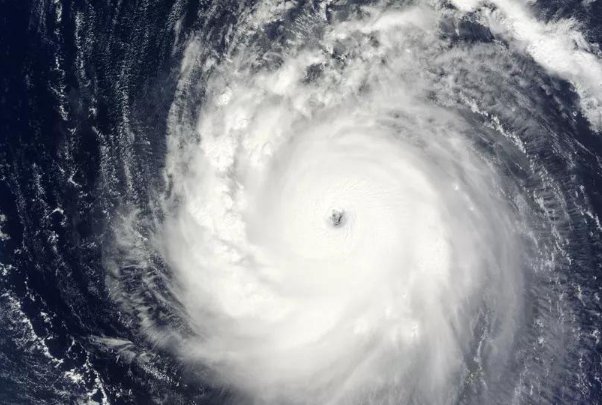 台风什么颜色停课