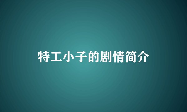 特工小子的剧情简介