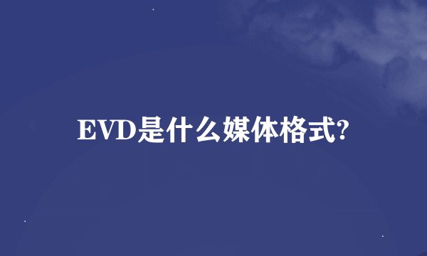 EVD是什么媒体格式?