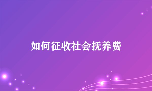 如何征收社会抚养费