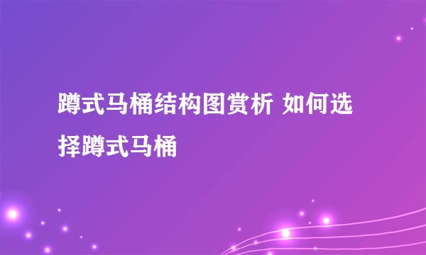 蹲式马桶结构图赏析 如何选择蹲式马桶
