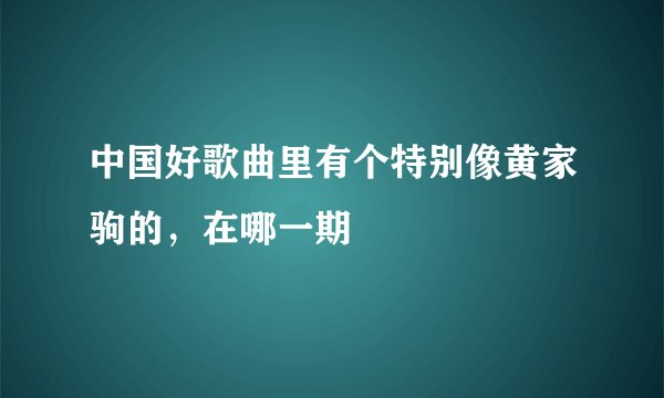 中国好歌曲里有个特别像黄家驹的，在哪一期