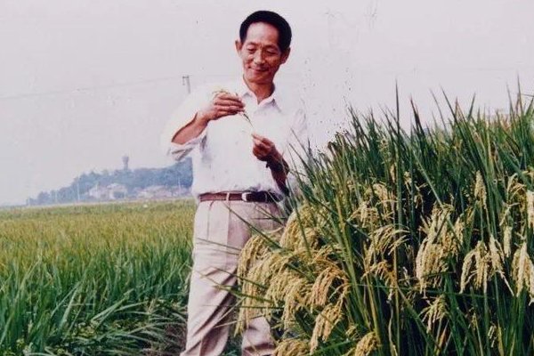 殡仪馆不接待群众悼念袁隆平院士，袁隆平的丧事会如何举办？