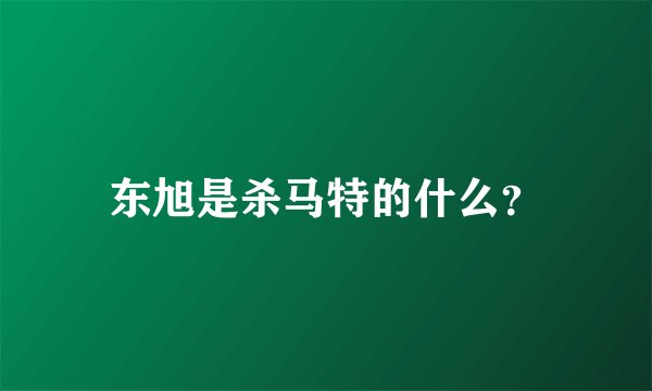 东旭是杀马特的什么？
