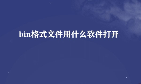 bin格式文件用什么软件打开
