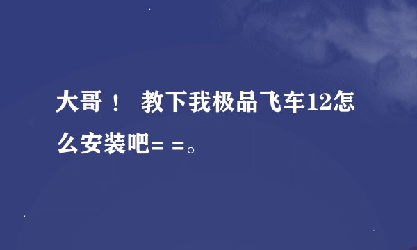 大哥 ！ 教下我极品飞车12怎么安装吧= =。