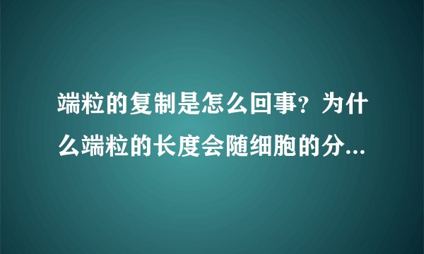 端粒的复制是怎么回事？为什么端粒的长度会随细胞的分裂而减短?端粒酶在这里起什么作用？其活性有谁控制？