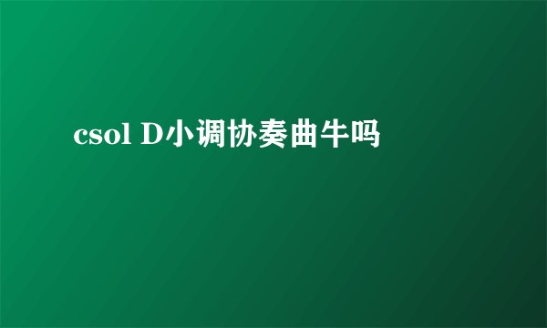 csol D小调协奏曲牛吗