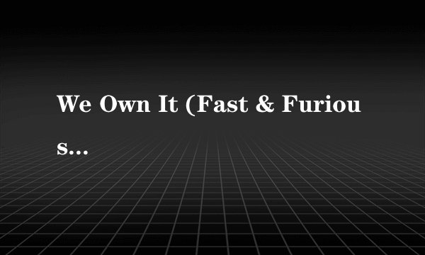 We Own It (Fast & Furious) 中文意思
