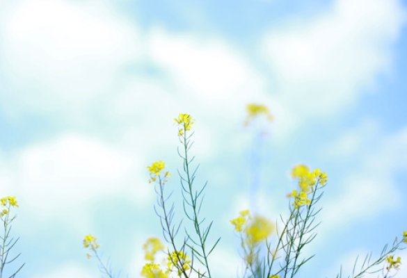 孟春既望指的是几月几曰