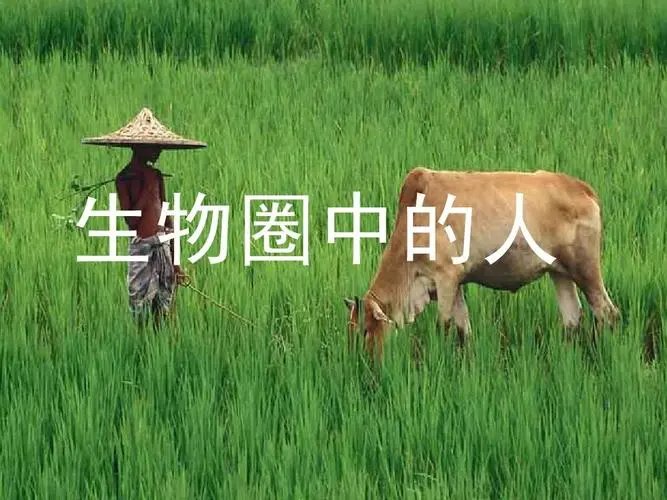 生物圈中的人有哪些？