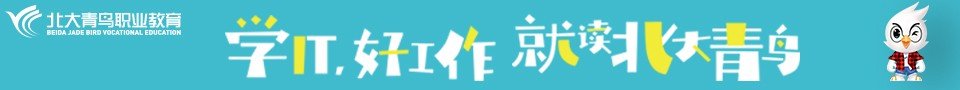 北京大学青鸟是公办还是私立学校