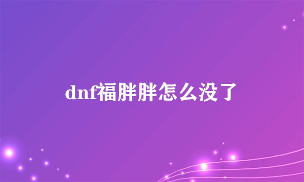 dnf福胖胖怎么没了