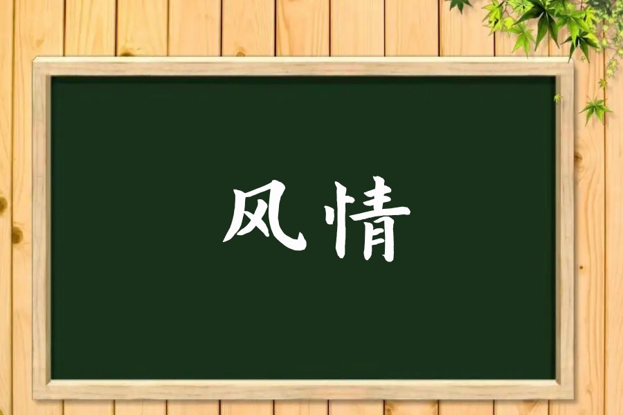 风情什么意思