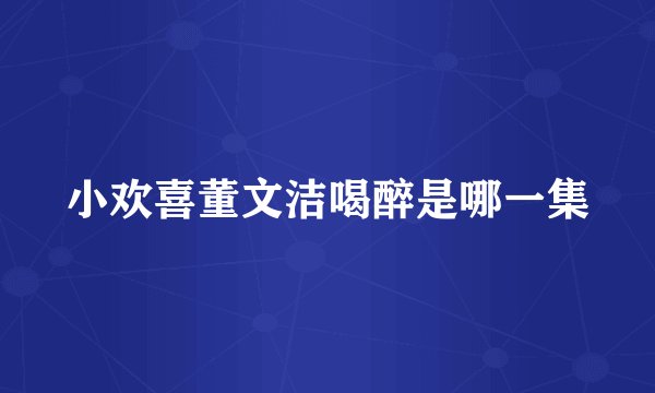小欢喜董文洁喝醉是哪一集